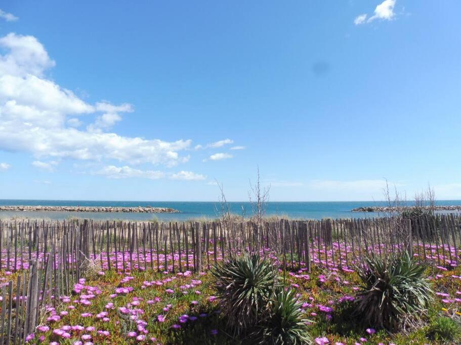 Apartment Le Petit Coin De Paradis. *