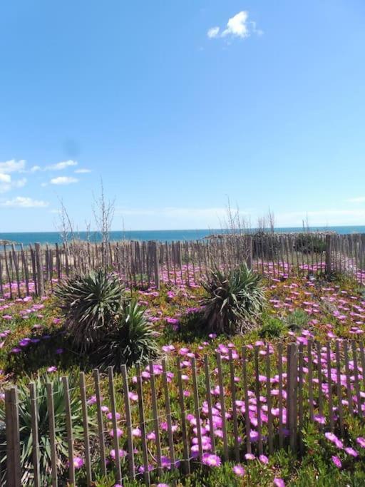 Le Petit Coin De Paradis. * Valras-Plage